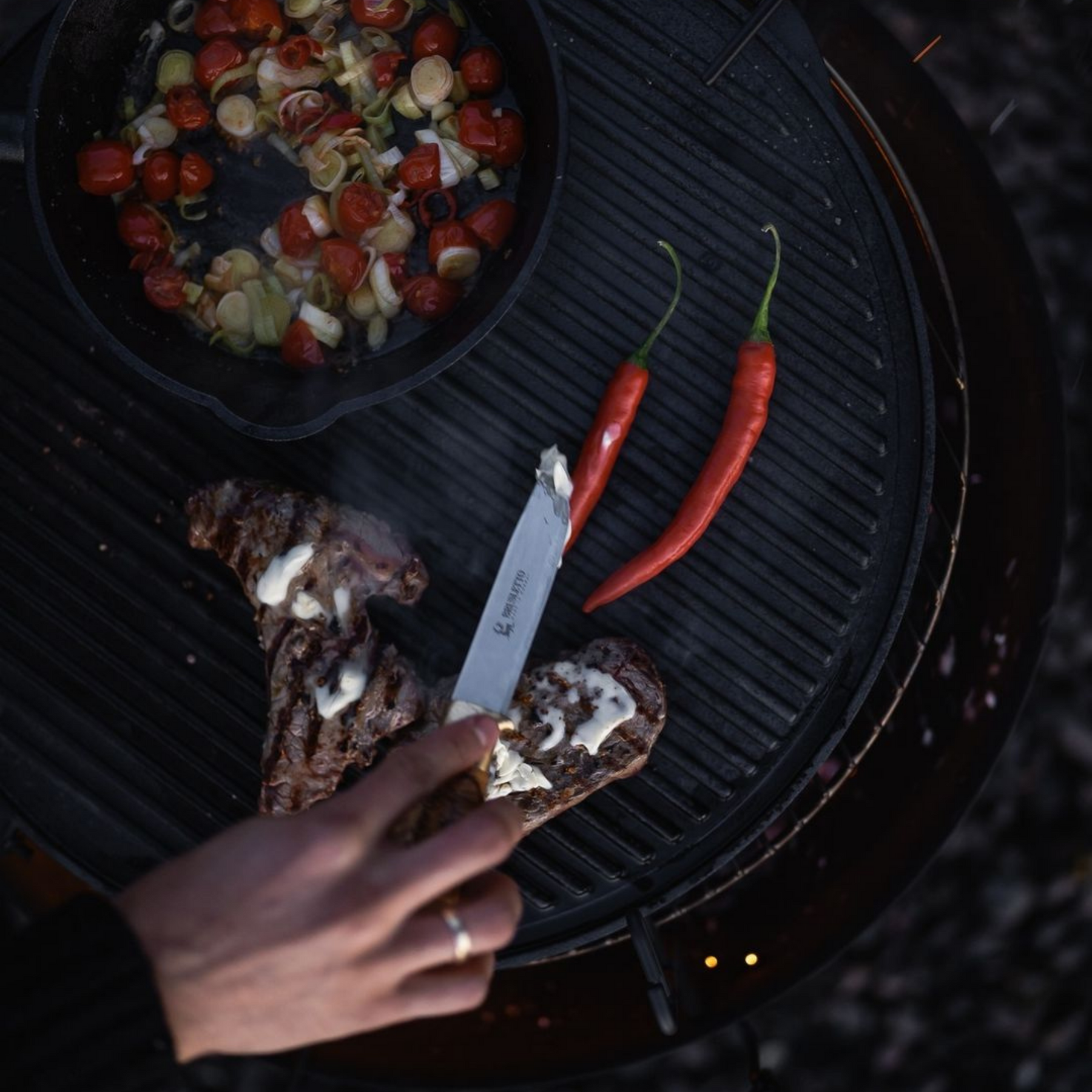 Cast Iron Grill Plate